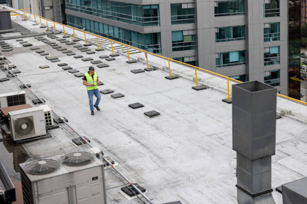 Best Roof Moss and Algae Removal  in Ferndale, CA