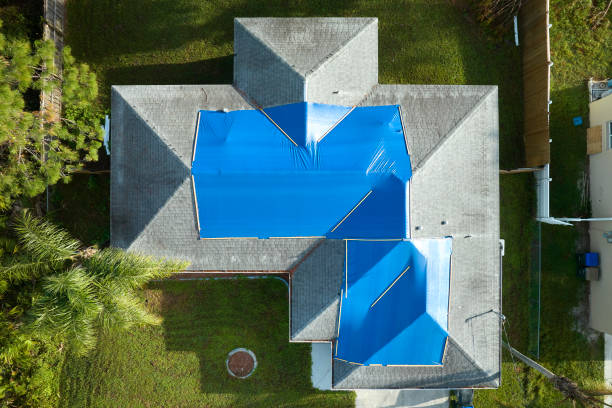 Best Roof Insulation Installation  in Ferndale, CA